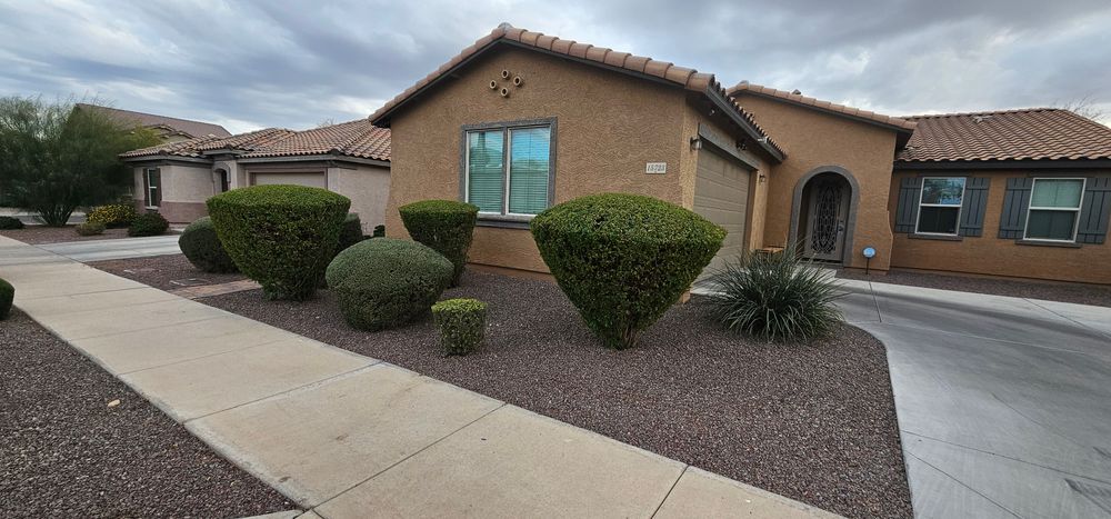 Shrub triming for Sharp Image LLC Landscaping & Hardscape in Phoenix, AZ