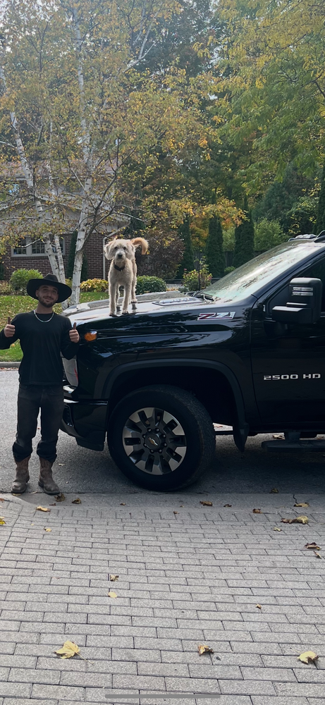 All Photos for Pure Pavers Restoration in Burlington, ON