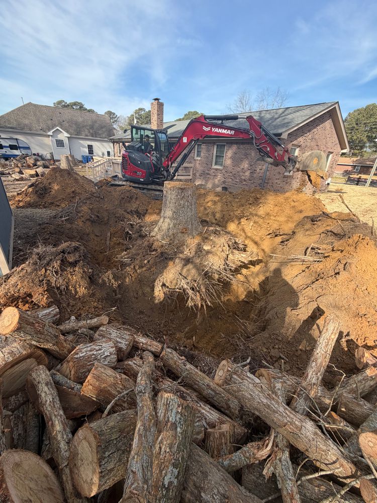 All Photos for Tidewater Tree Service in Chesapeake, VA