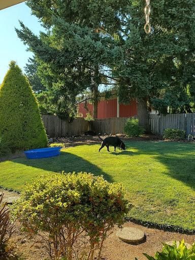 All Photos for Sol Junk Removal in Independence, OR