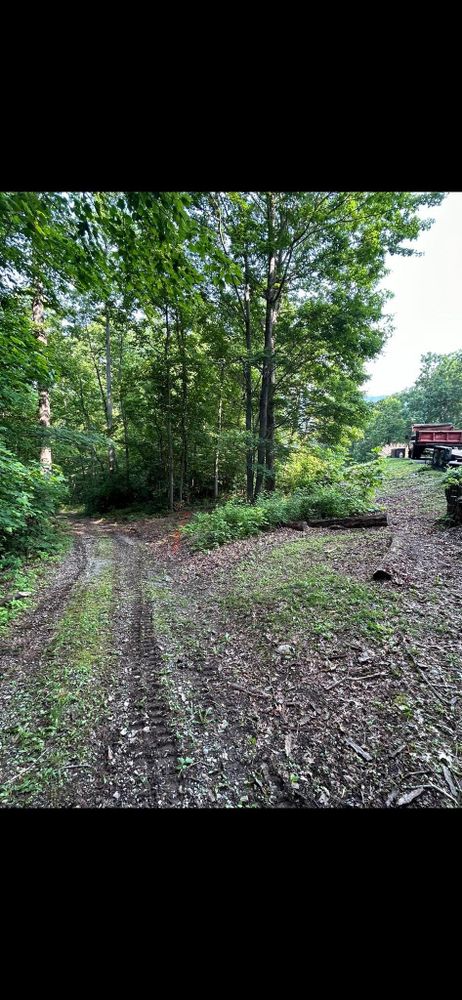 All Photos for NRV Tree Pro, LLC in Narrows, VA