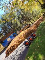 Fall Clean Up for Platas Landscaping & Tree Service in Clyde, NC