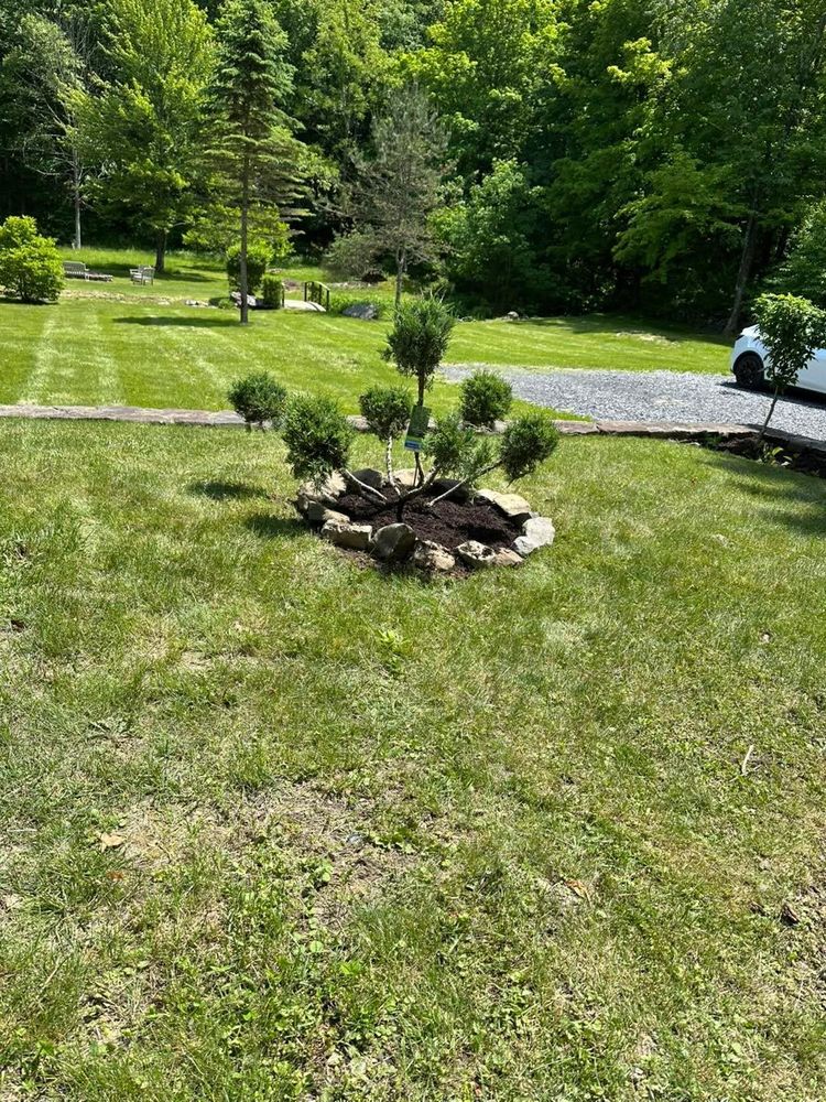 All Photos for Cuellar Lawn Care in Stone Ridge , NY 