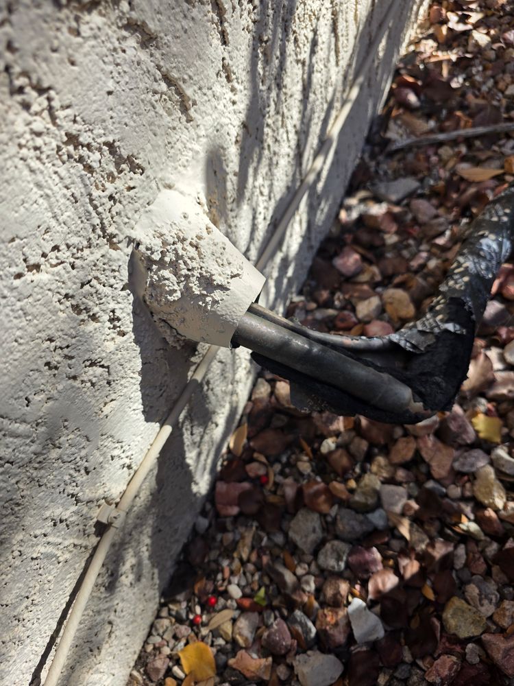 All Photos for Niko's Pest Control in Las Vegas, NV