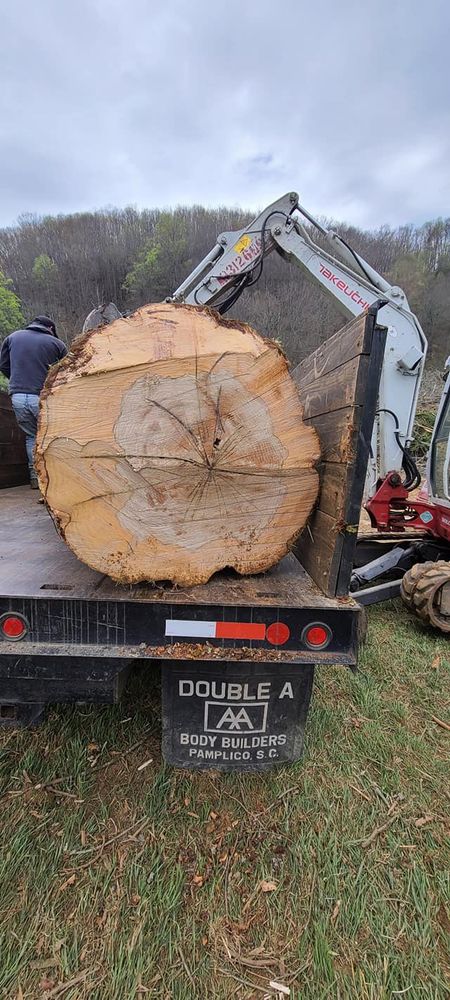 Tree Services for Platas Landscaping & Tree Service in Clyde, NC