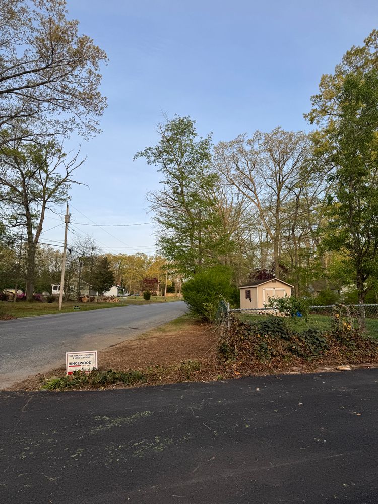 All Photos for Hingewood Tree Service in Salem, NJ