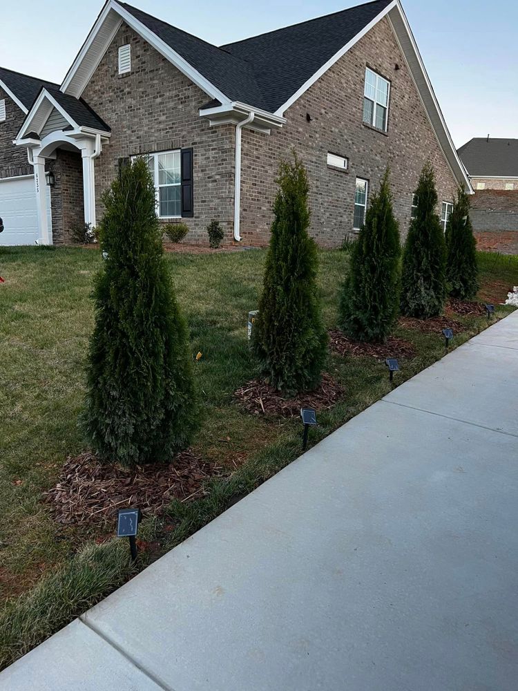 Tree Removal for Arbor Eden Creations in Winston-Salem, NC