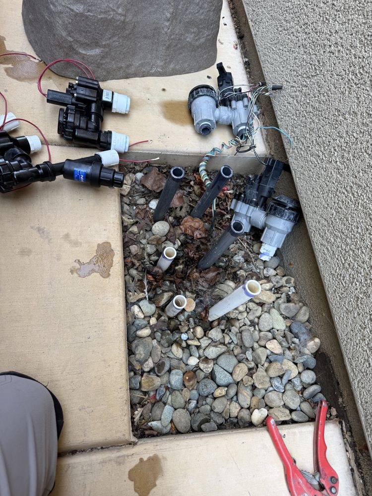 All Photos for CBA Landscaping in Hayward, CA