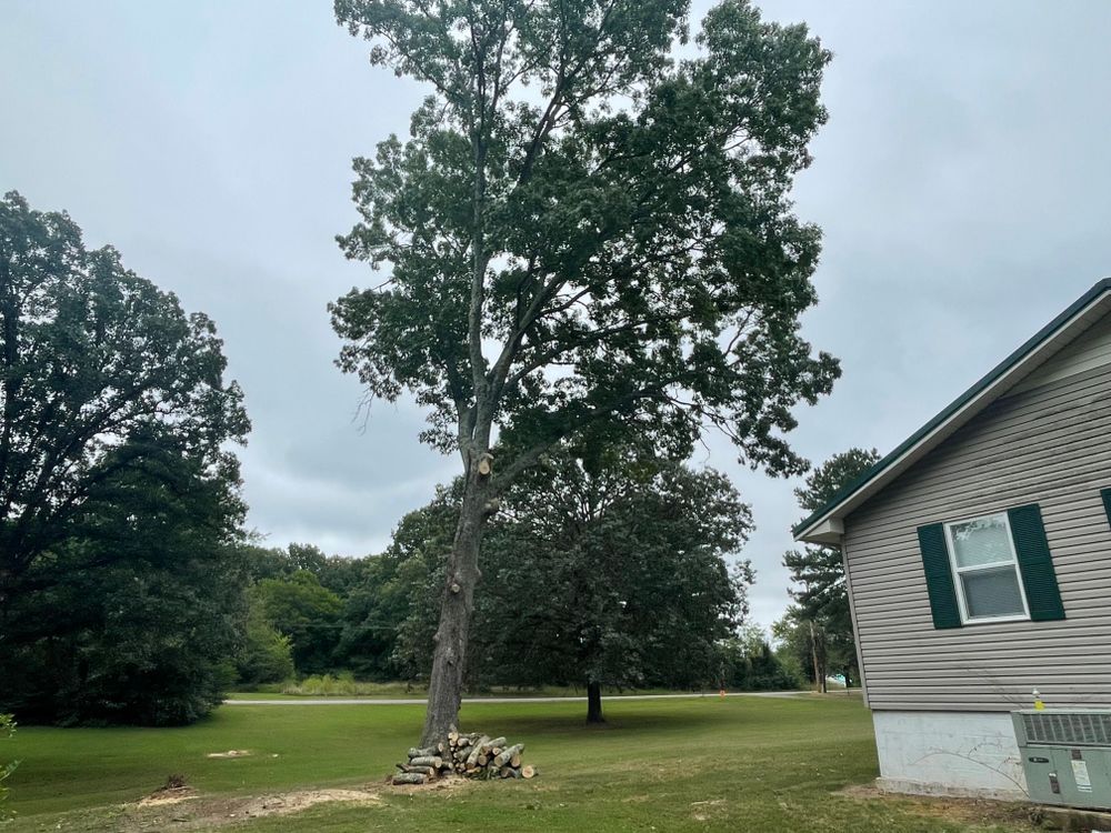 All Photos for Ross Family Tree Service LLC  in Hohenwald, TN