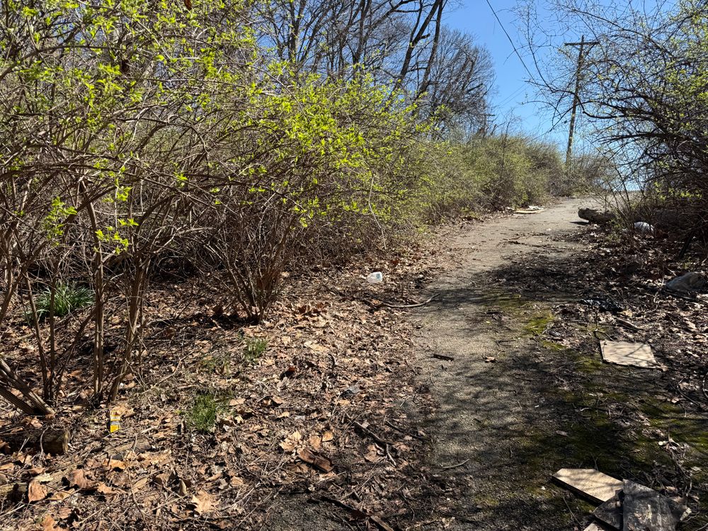 All Photos for A1 Bush Hogging & Lawn Service in London, OH