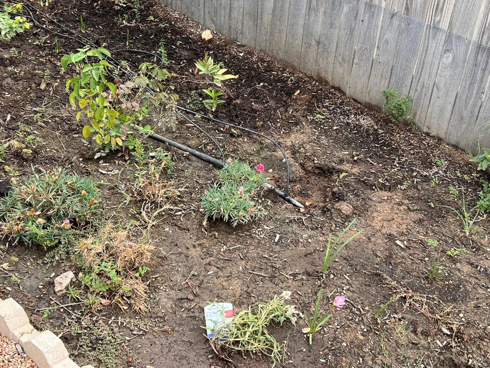 All Photos for Rustic Roots Landscaping in Austin, TX