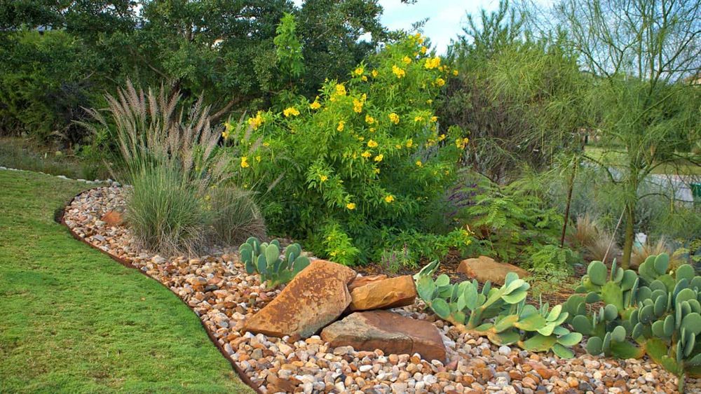 Our Shrub Trimming service ensures your garden stays neat and healthy by expertly shaping and pruning shrubs, enhancing curb appeal while promoting optimal growth for a vibrant outdoor space. for Fresh Yards Landscaping in Austin, Texas
