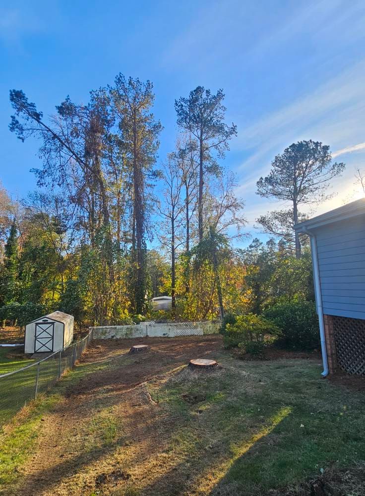 Tree Removal for Sasquatch Tree Services LLC in Spartanburg, SC