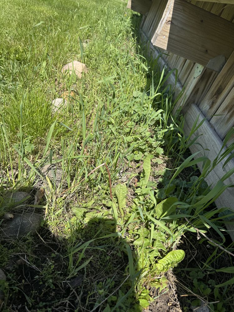 Landscaping Lawn Care for Daugherty's Tough Lawn Care in Essexville, MI