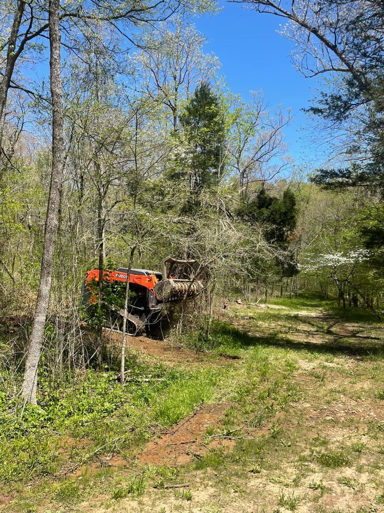 Pasture Reclamation for Bass Land Management in Yellville, AR