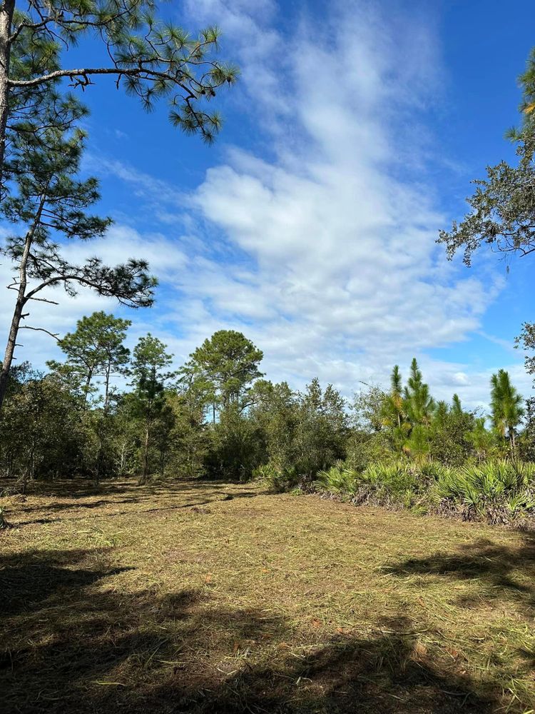 Land Clearing for High Standards Land Services in Saint Augustine, FL