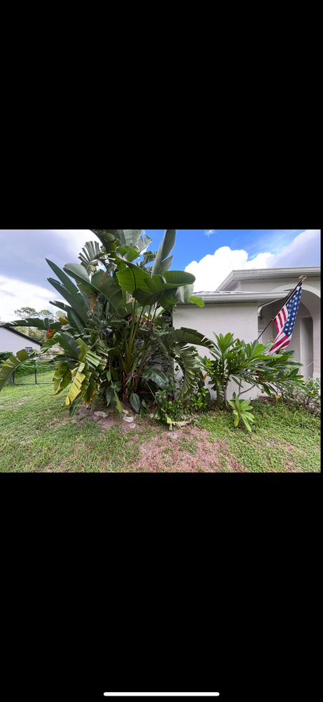 All Photos for Isaiah Simmons Construction and Landscaping LLC in Brevard County, Florida