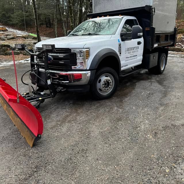 Tree Removal for Redemption Tree & Landscape LLC  in Oakham, MA