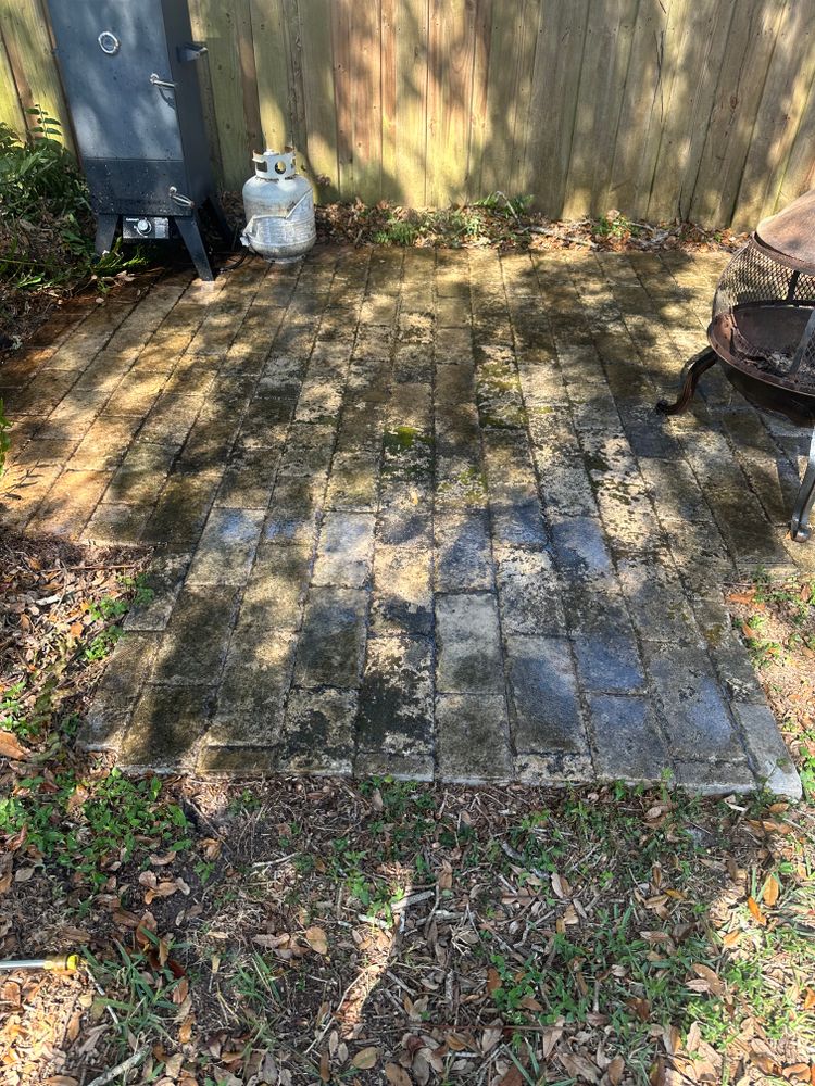 All Photos for The Yardman in Tampa, FL
