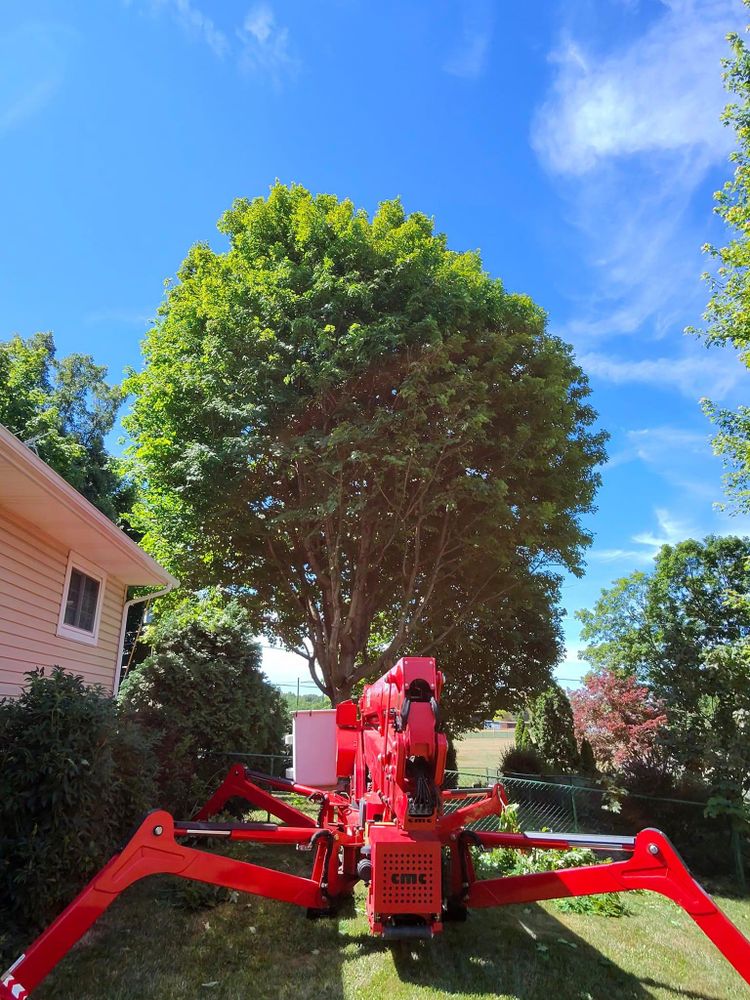 All Photos for F & F Tree Service in Beavercreek, OH