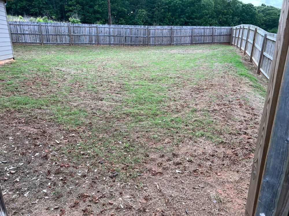 Our Aeration service helps improve your lawn's health and appearance by allowing air, water, and nutrients to reach the roots more effectively for lusher grass growth. for Prime Lawn LLC in Conyers, GA