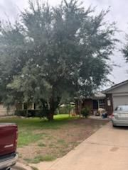All Photos for Oviedo Land & Garden in Bastrop, TX