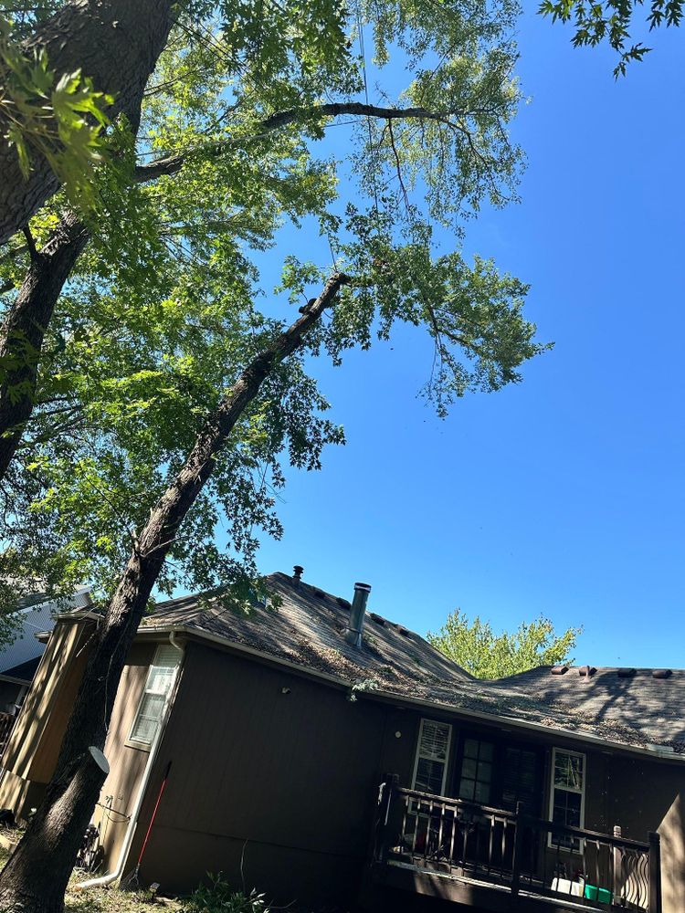 All Photos for Cross Family Tree Service in Kearney, MO