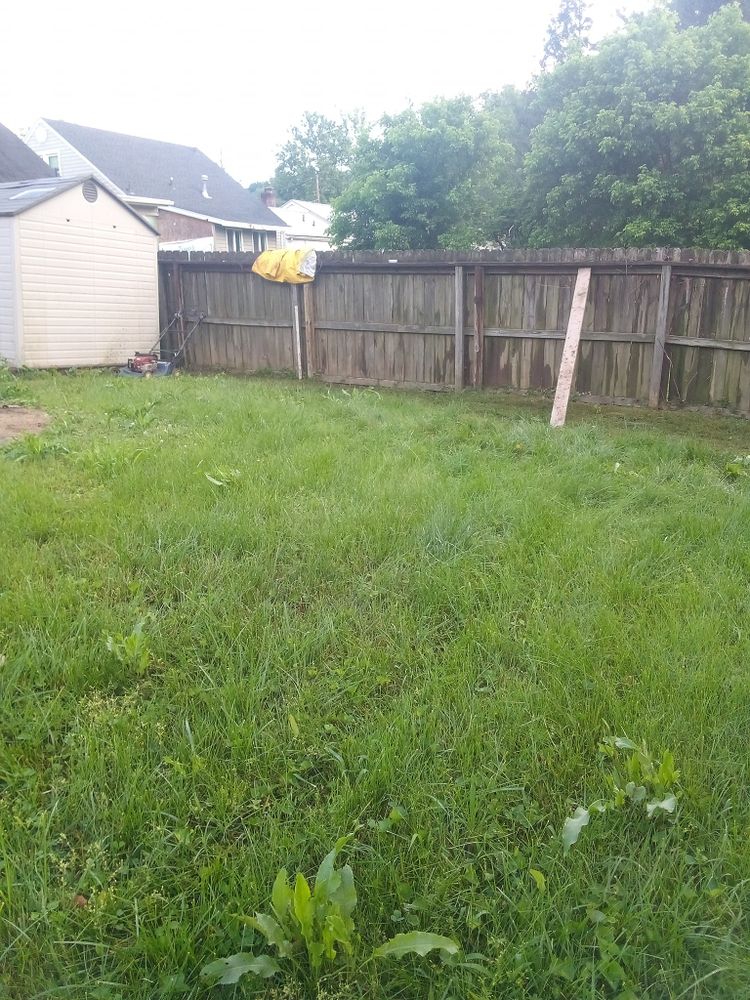 Other Services for Hayes Tree And HandyMan Services LLC in , 