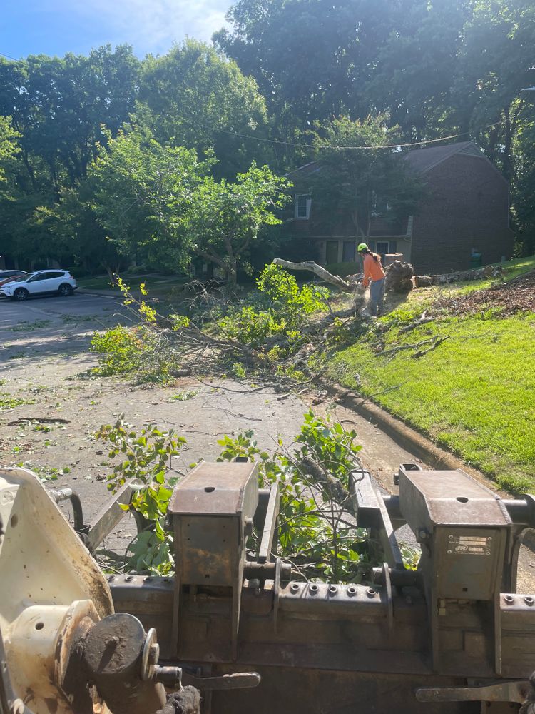 Tree Removal for Ace Tree Service  in Fuquay-Varina, NC
