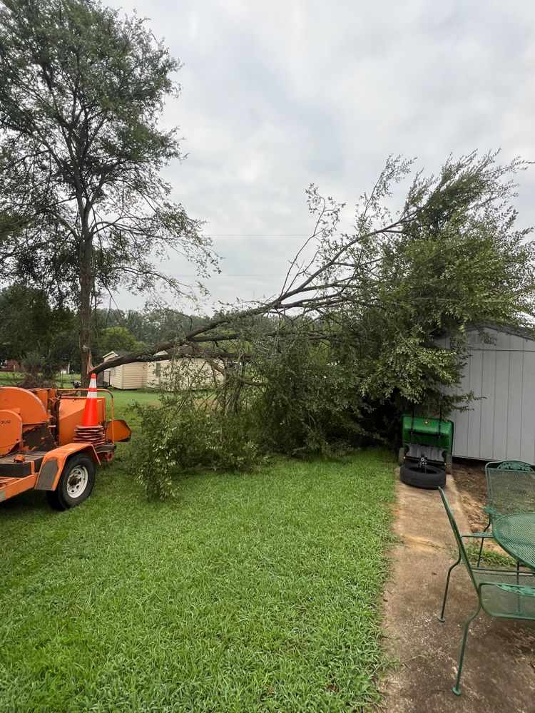 All Photos for Brooks Tree Service in Casar, NC