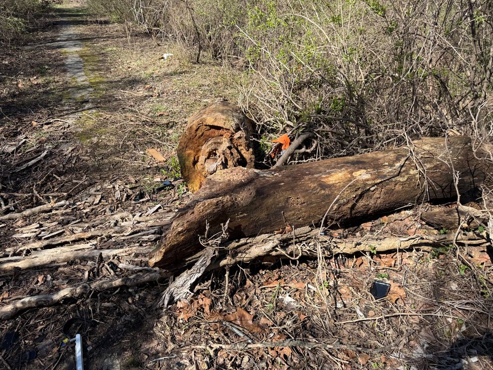 All Photos for A1 Bush Hogging & Lawn Service in London, OH