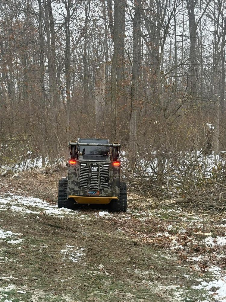 All Photos for Dig-It Tree Company in Mason, OH