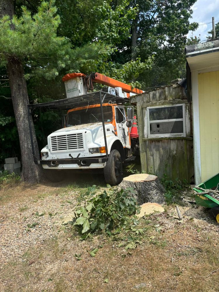 All Photos for Dwights Tree Service LLC in Middleborough, MA