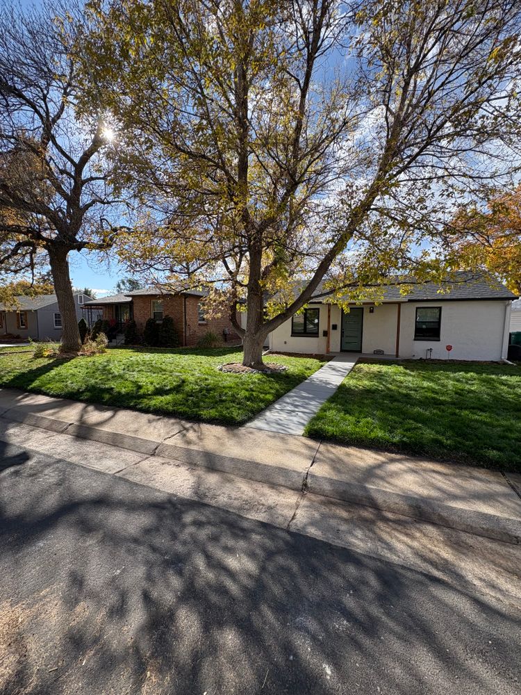 Lawn Care for Denver Bros Lawn Control in Denver, CO