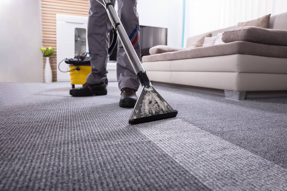 Our Carpet Cleaning service will deep clean your carpets, removing all the dirt, dust and stains. Our team are experts in carpet cleaning and use the latest equipment and techniques to get your carpets looking like new again. for Cleaning Geeks in Albany, GA