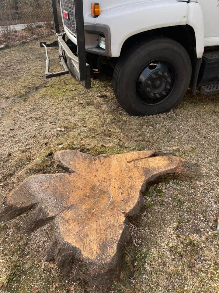 Our professional stump removal service efficiently eliminates unsightly stumps, preventing potential hazards and encouraging healthy lawn growth. Trust our experts for safe, thorough removal that enhances your landscape's beauty and safety. for Robery's Tree Service in West Wareham, MA