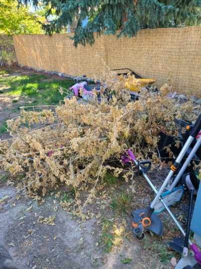 All Photos for Take It Away Dumpster Rentals in Roy, UT