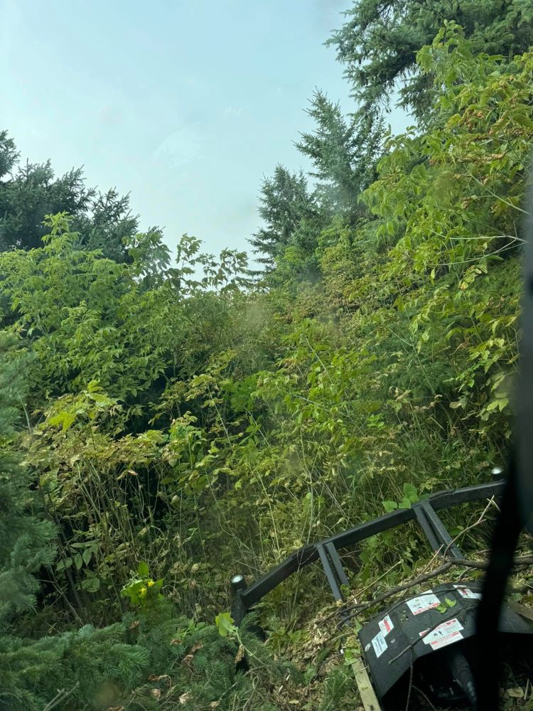 Our Land Clearing service efficiently removes trees, shrubs, and debris to prepare your property for new projects. We ensure a clean slate with minimal environmental impact, prioritizing safety and precision. for RTK Co. Land Management in Raymond, MN