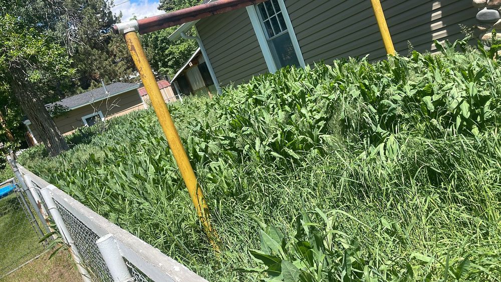 All Photos for Troy’s Handyman Services in Billings, MT