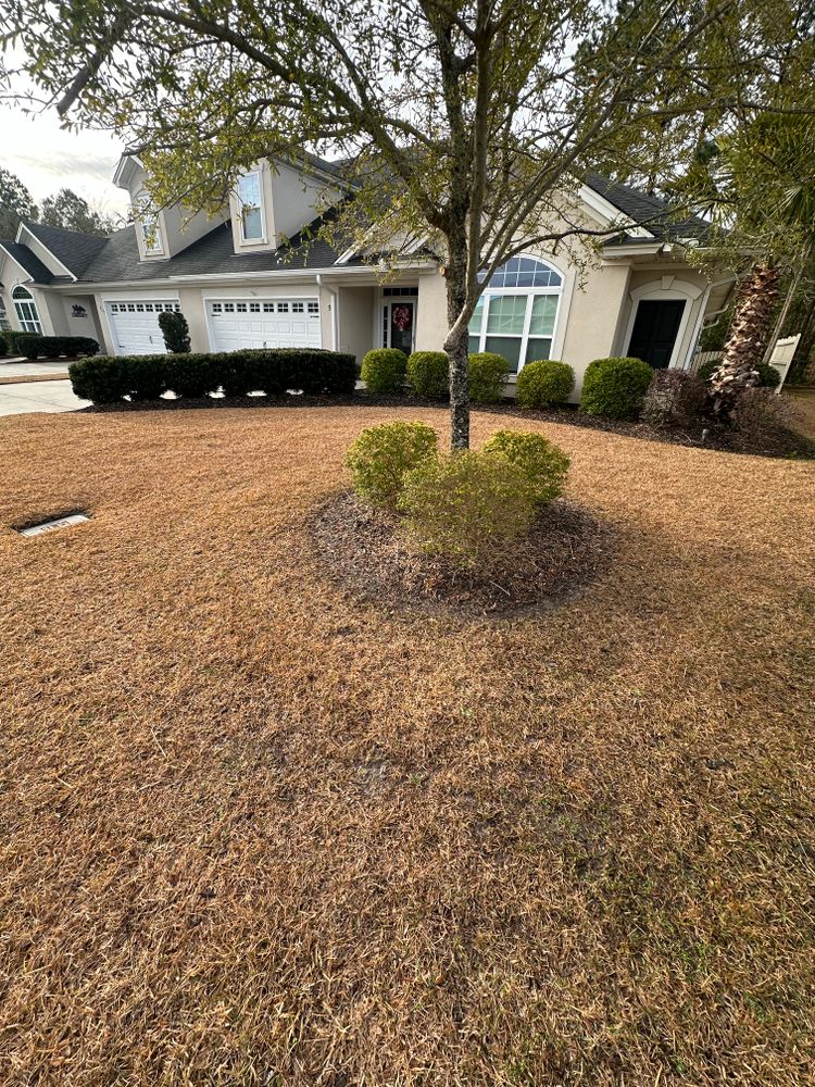 Before & Afters  for Coastalscapes Landscaping & Turf Management  in Savannah, GA