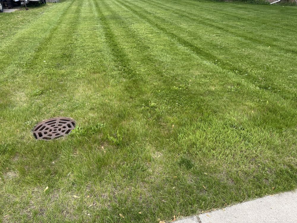 Landscaping Lawn Care for Daugherty's Tough Lawn Care in Essexville, MI