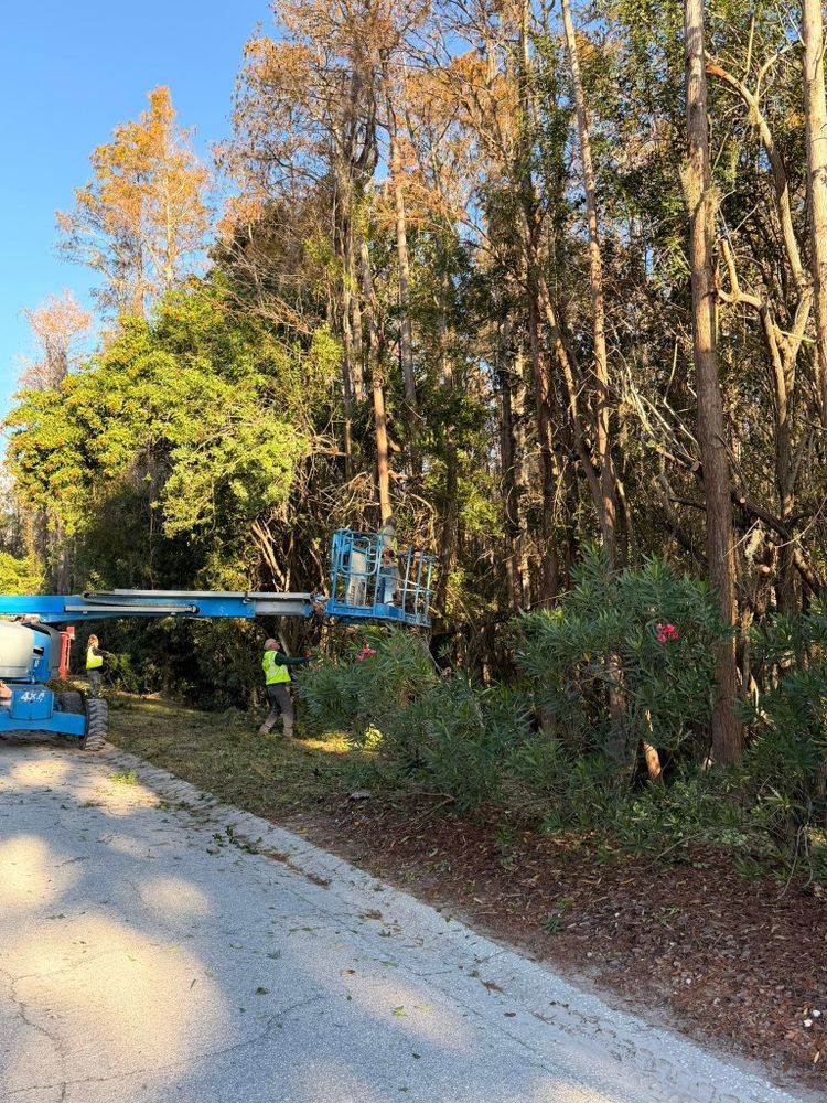 All Photos for EB Trees and Landscape in Lutz, FL