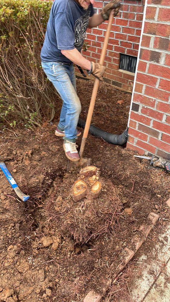 We offer professional stump removal services to fully eliminate unsightly stumps from your property, ensuring a smooth and safe landscape for you to enjoy. for Oakhurst Landscaping and Tree Service in Charlotte, NC