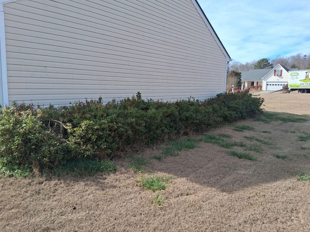 All Photos for GA Lawn Care Pros in Jefferson, GA