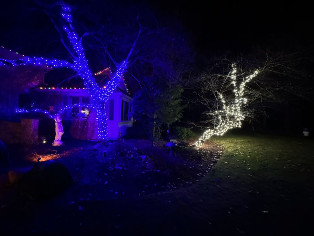 Holiday Lights for Premier Partners, LLC. in Volo, IL