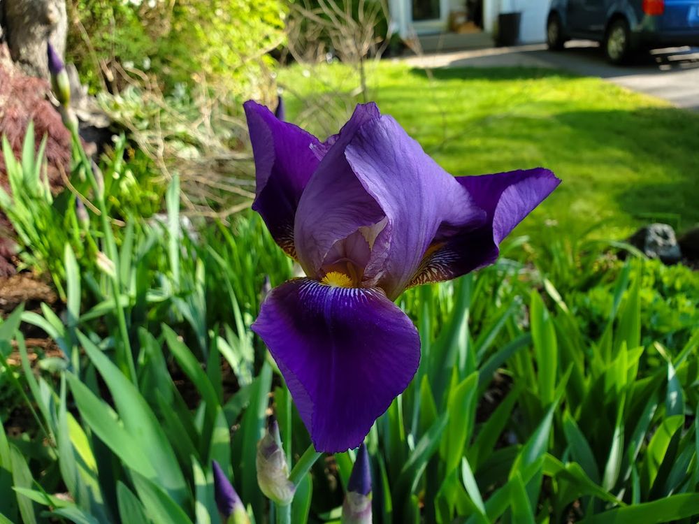 All Photos for Evolution Earthscapes, LLC in Ludlow, MA