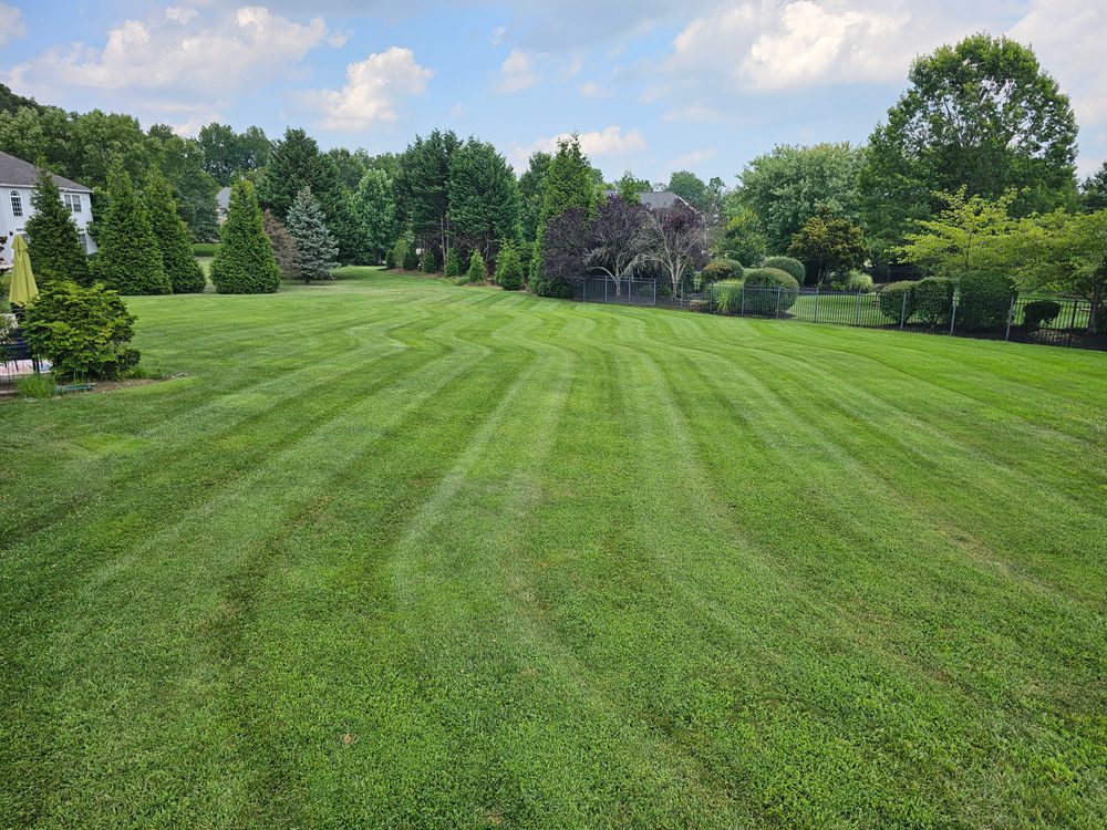 All Photos for DBs Lawn Care in Westampton Township, New Jersey