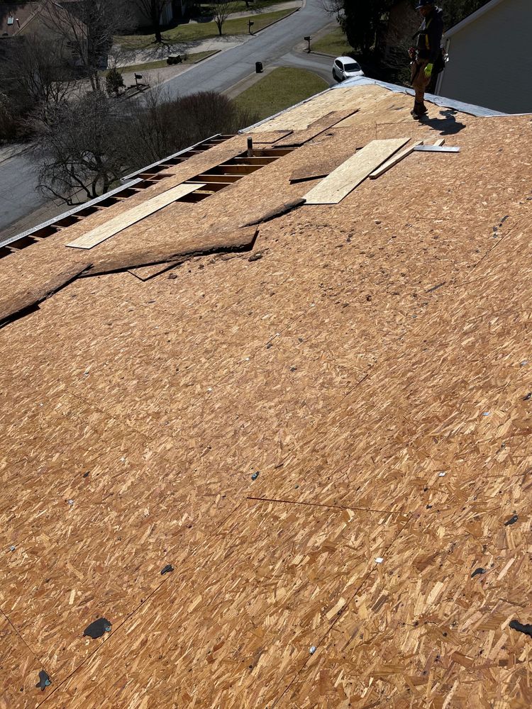 All Photos for RJ Roofing of WNC in Brevard, NC