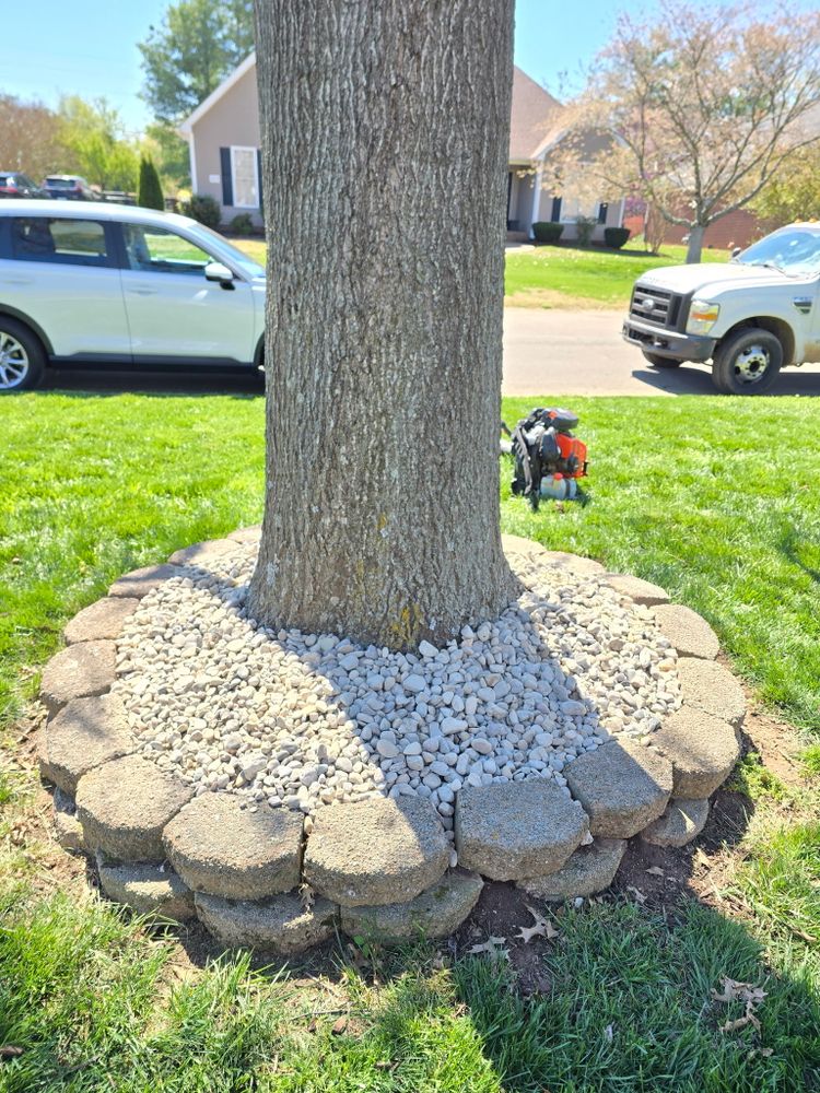 All Photos for Optimum Tree Service And Landscaping in Bowling Green, KY
