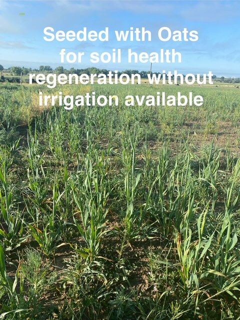 Hydroseeding for Fair Weather, Inc in La Junta, CO